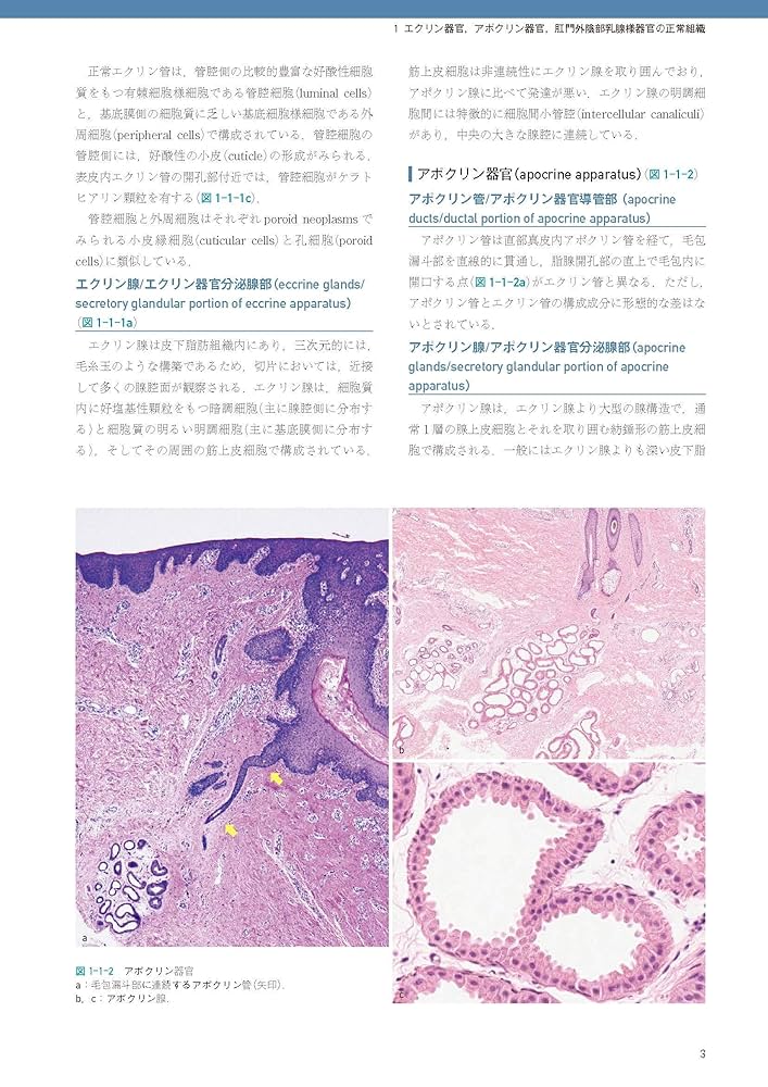 皮膚軟部腫瘍アトラス 安齋 眞一 皮膚軟部腫瘍アトラス | 木村鉄宣, 廣瀬隆則 |本 | 通販 | Amazon